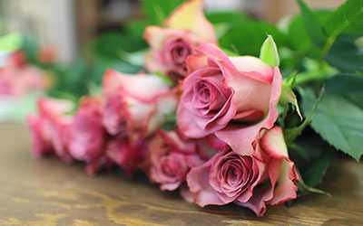 flower shop bonduel wisconsin